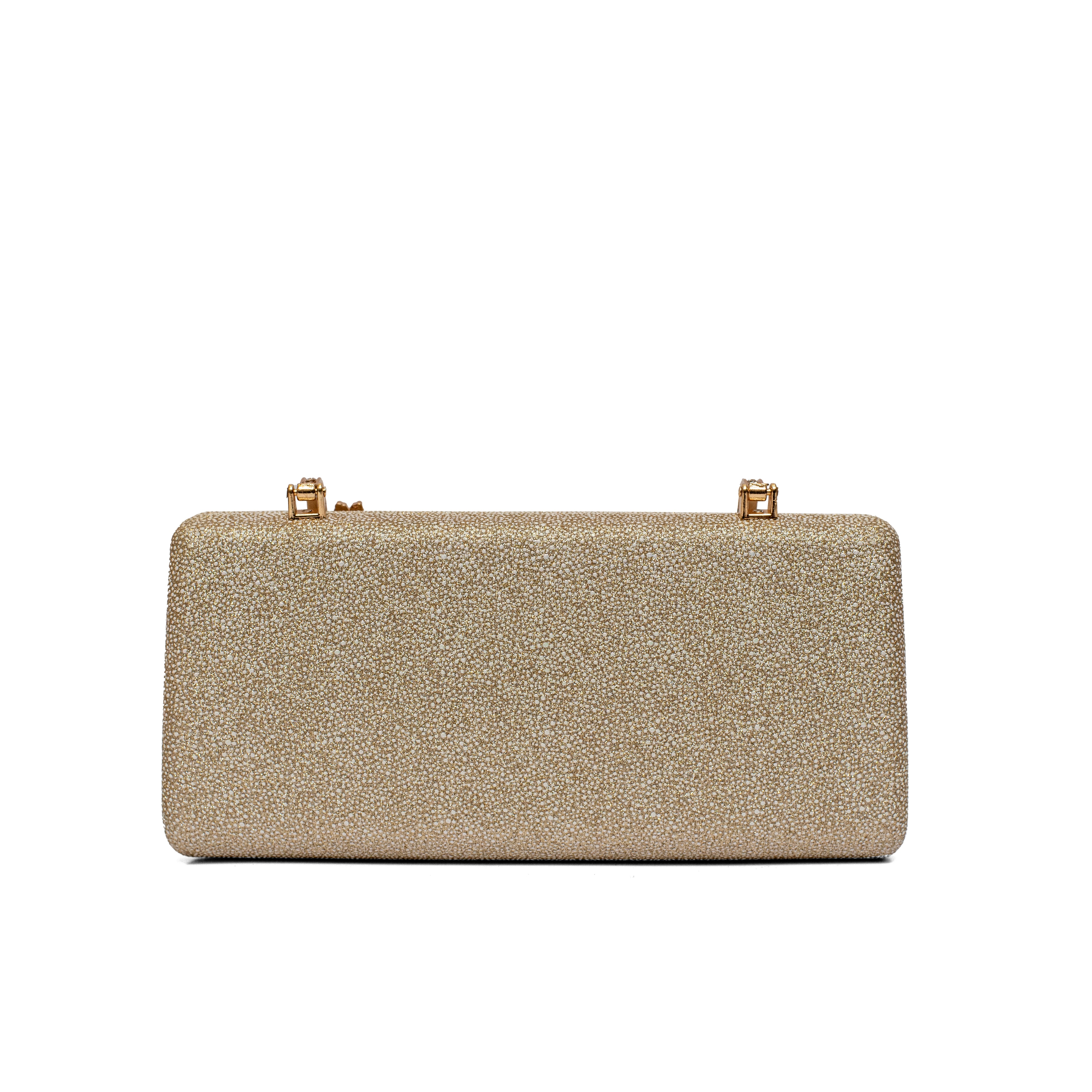 party Clutch 036