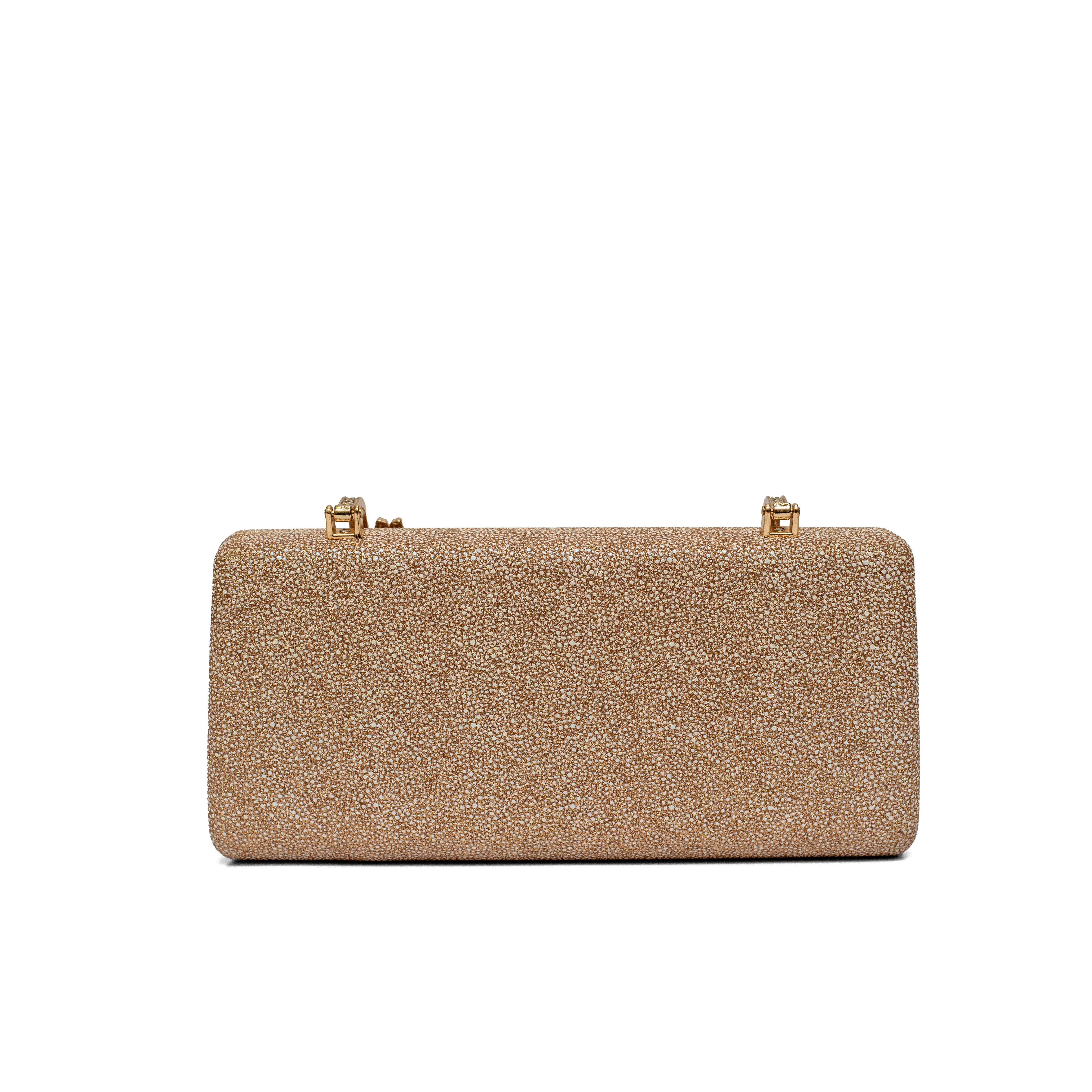 party Clutch 038