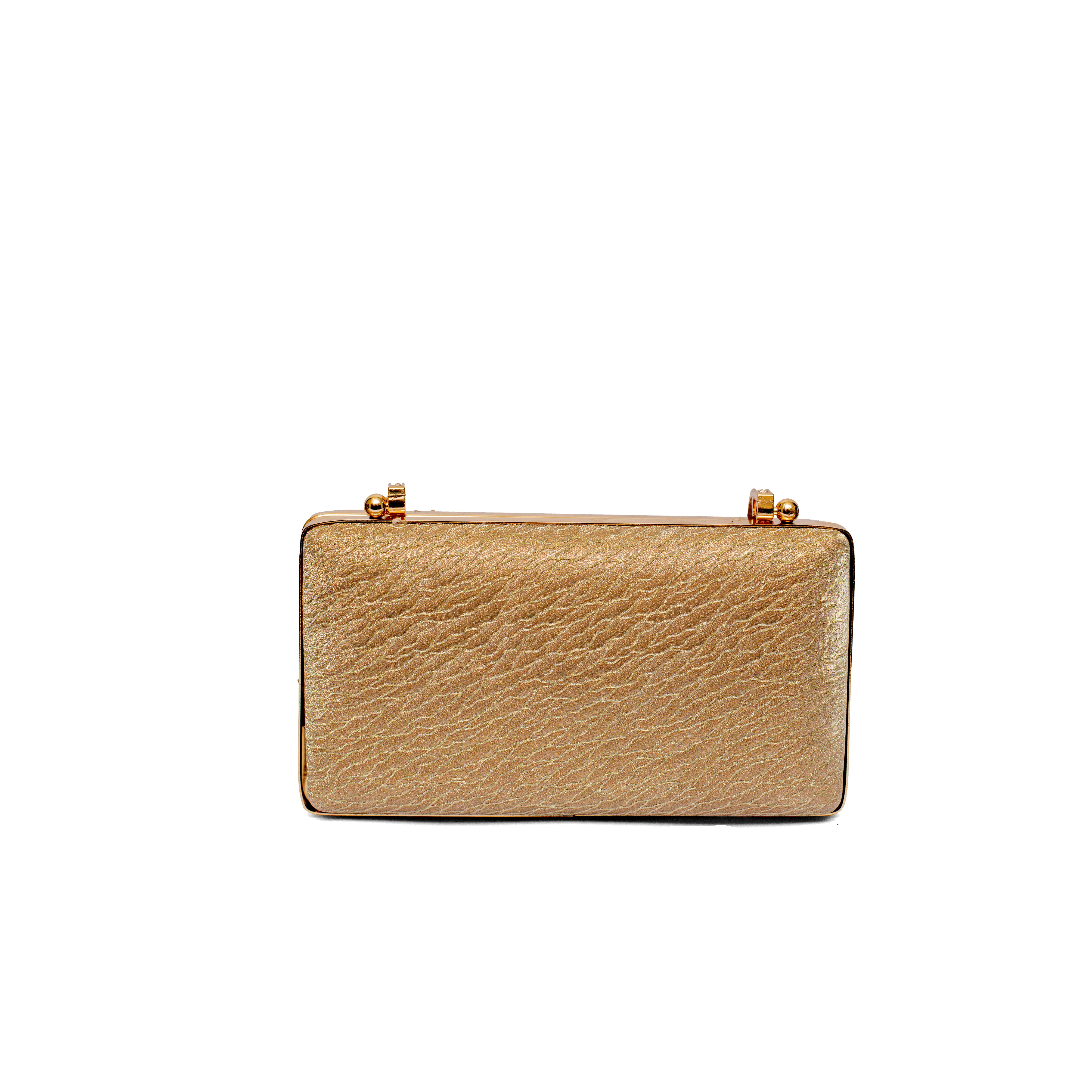 Party Clutch061