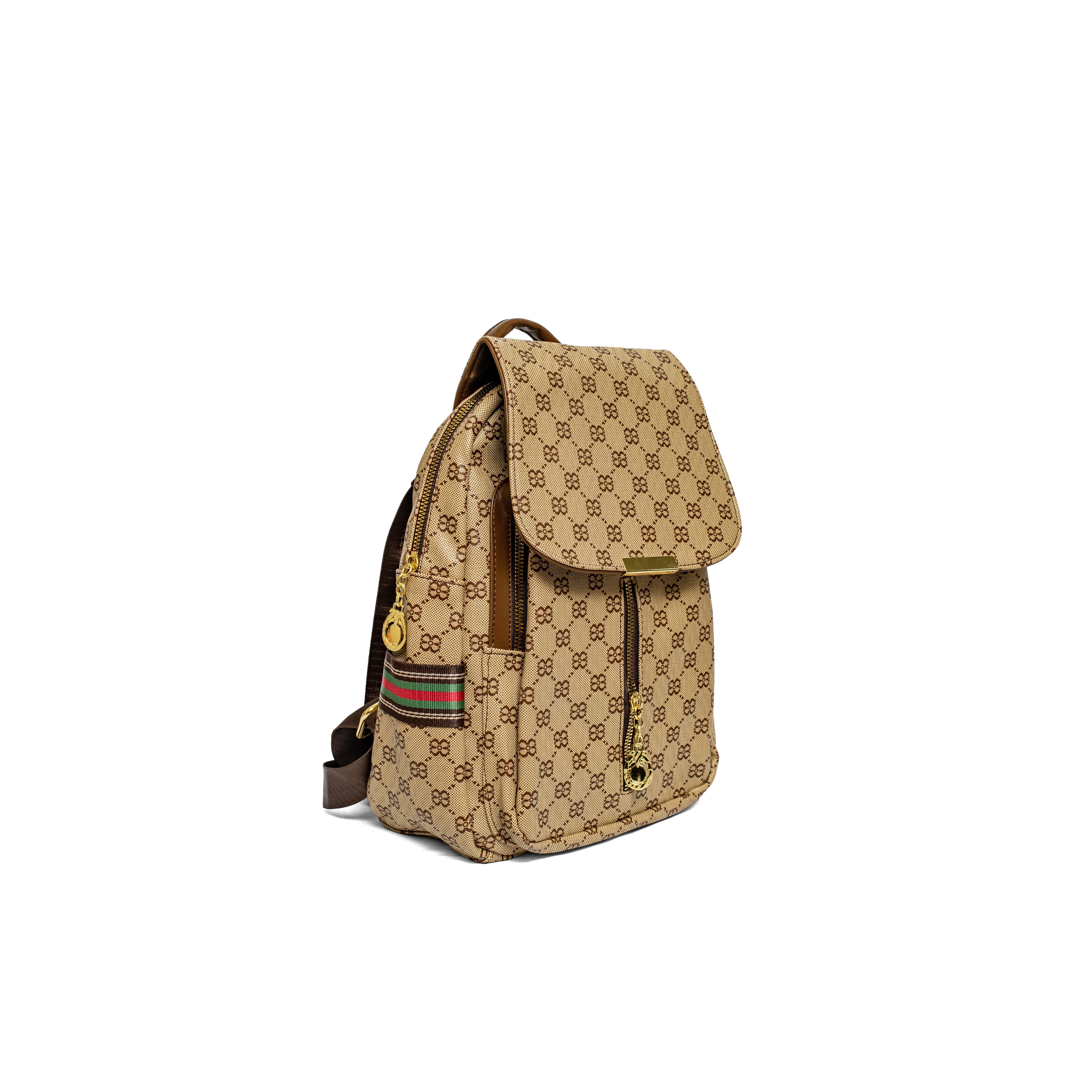 Vuitton Back pack